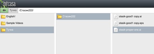 Bitcasa Portal