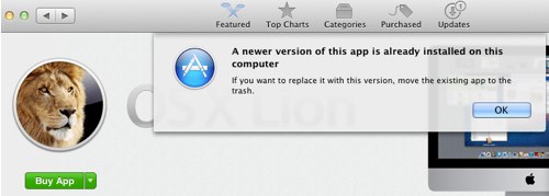 A newer lion installed