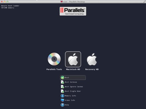 Chameleon parallels lion