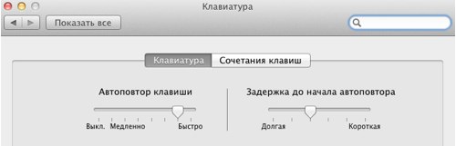 Настройки автоповтора в Lion