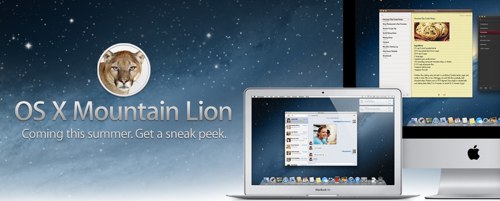 Mountain lion