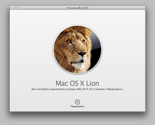 Lion