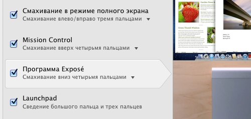 Trackpad expose